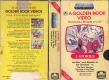 MASTERS-OF-THE-UNIVERSE-A-GOLDEN-BOOK-VIDEO