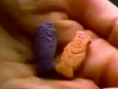 Flintstones Vitamins Ad 2