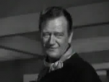 The John Wayne Collection On DVD