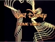 Walt Disney Home Video (1980) Company Logo (VHS Capture) 