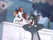 Tom And Jerry: Solid Serenade