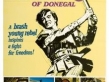 The Fighting Prince Of Donegal