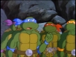 Family Home Entertainment: Teenage Mutant Ninja Turtles