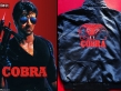 Cobra Jackets